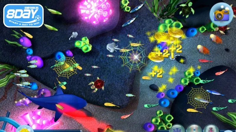 Đa dạng tính năng đặc biệt hỗ trợ săn cá hiệu quả