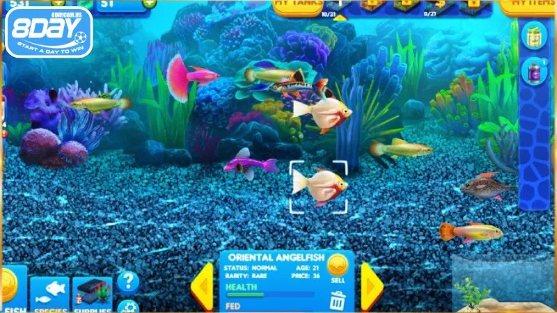 Game Siêu Cá Thủ có hệ số thưởng cực hấp dẫn